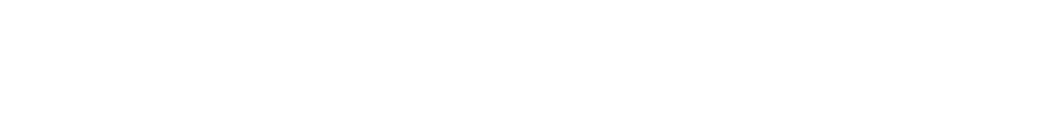 FST Group logo transparent